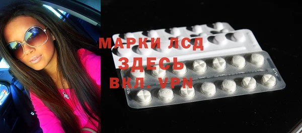 ГАЛЛЮЦИНОГЕННЫЕ ГРИБЫ Бородино