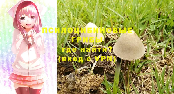стаф Верхний Тагил